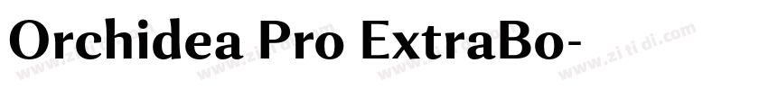 Orchidea Pro ExtraBo字体转换